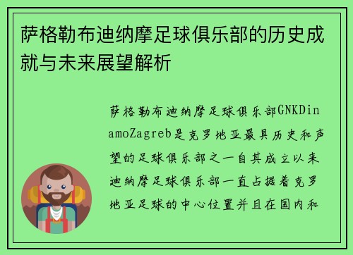 萨格勒布迪纳摩足球俱乐部的历史成就与未来展望解析