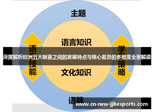 深度解析欧洲五大联赛之间的发展特点与核心差异的多维度全景解读