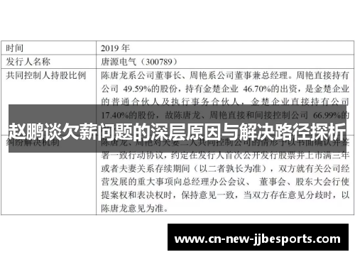 赵鹏谈欠薪问题的深层原因与解决路径探析