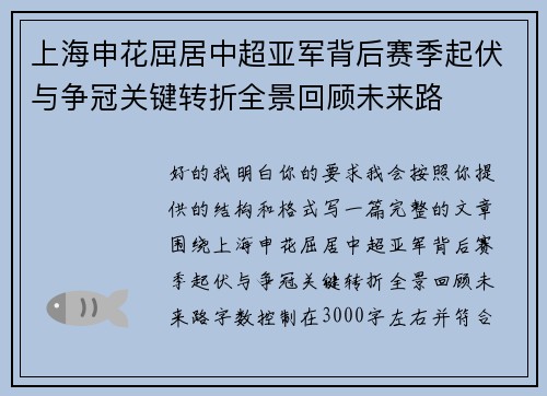 上海申花屈居中超亚军背后赛季起伏与争冠关键转折全景回顾未来路